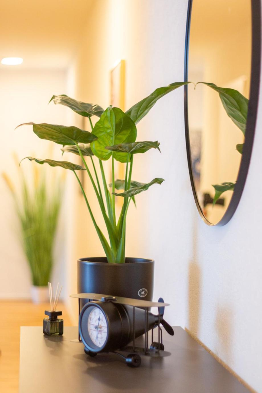 Special Einstein I Apartment Basel, Messe Kleinbasel 10-Star 外观 照片